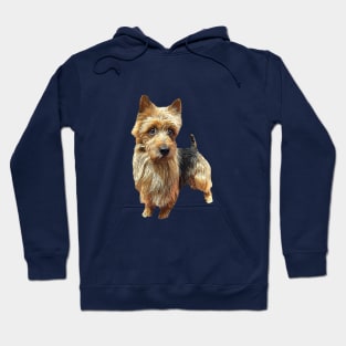 Australian Terrier Hoodie